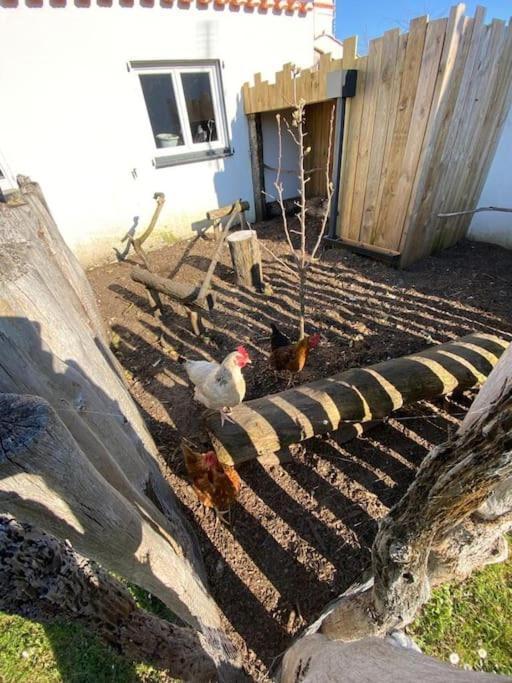 Villa Avec Jacuzzi Proche De La Mer Et Du Centre Barbâtre Extérieur photo
